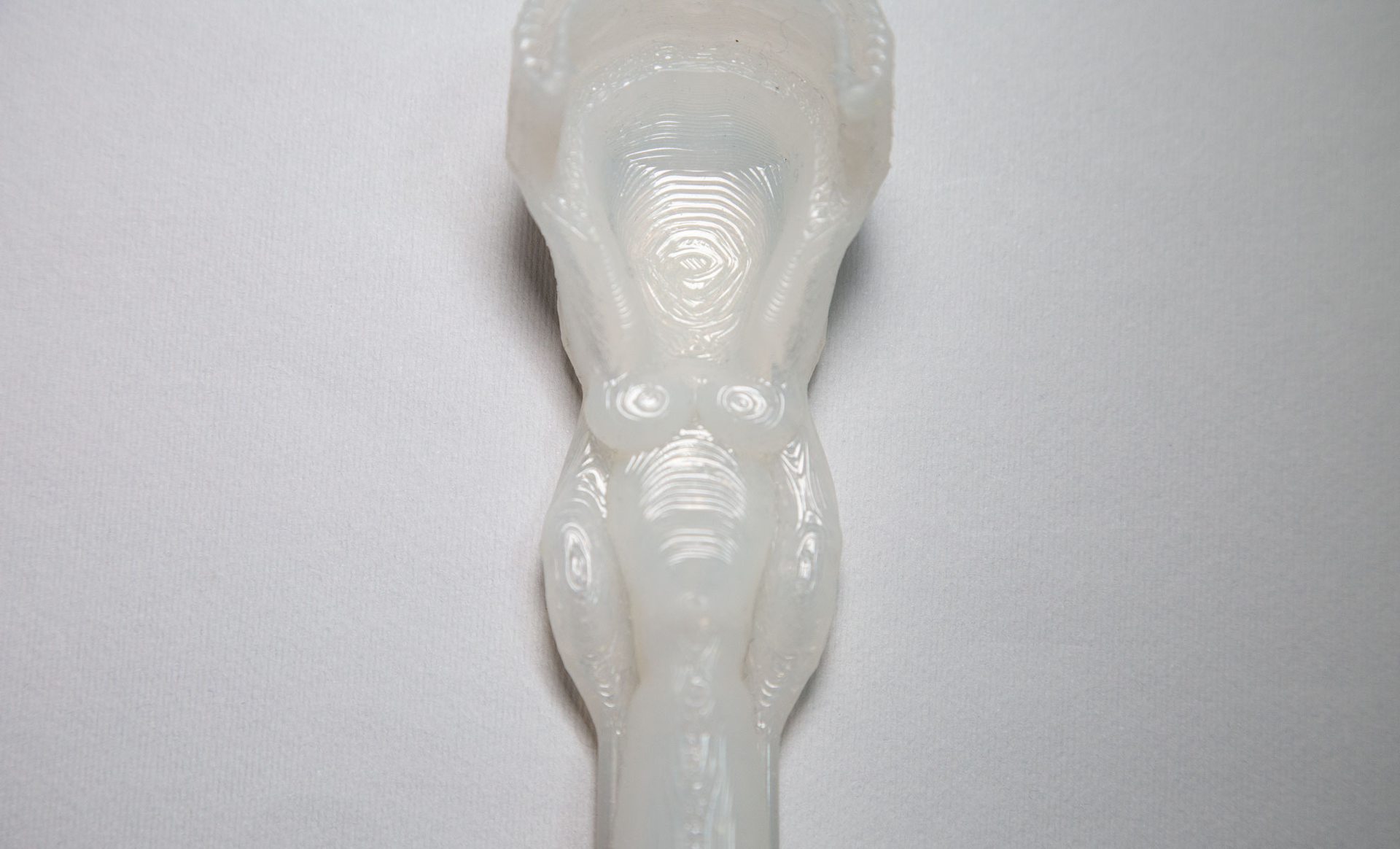 Zoom sur le pharyngolarynx