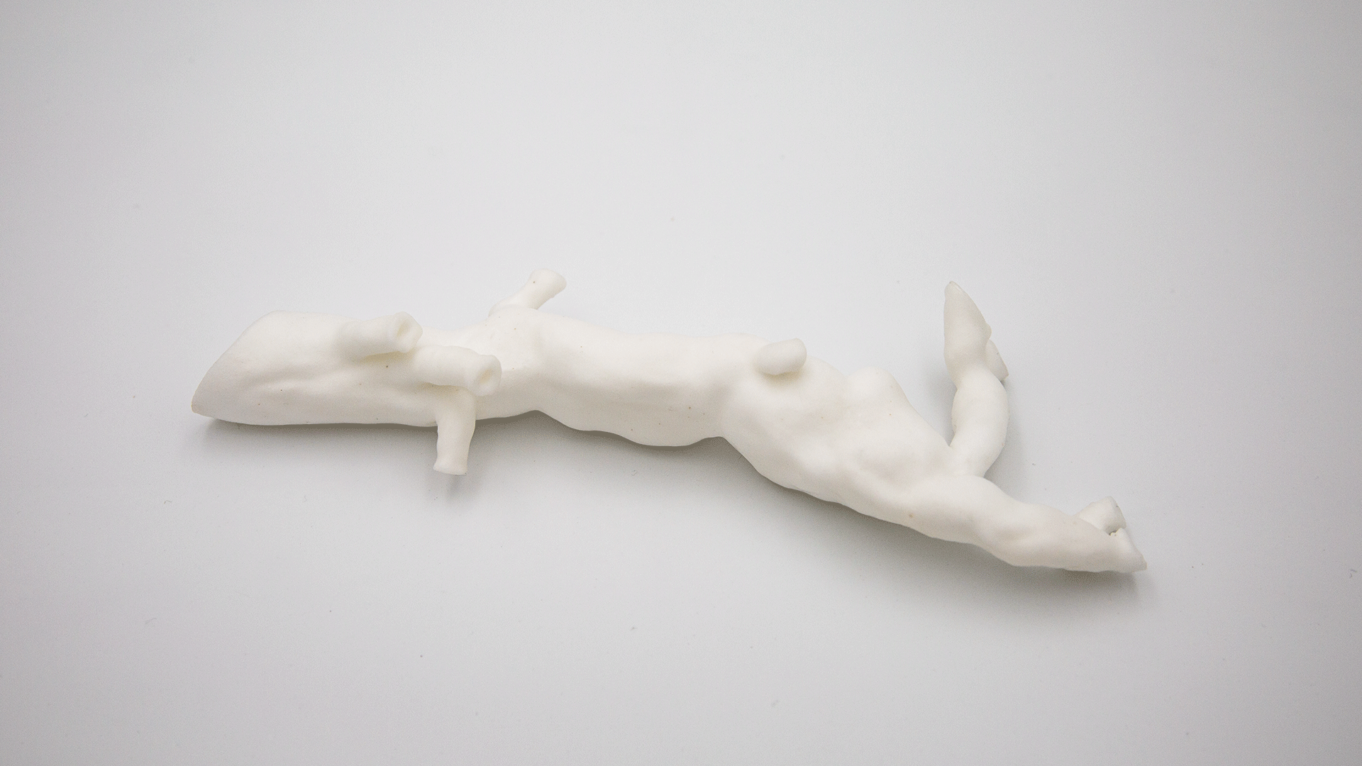 impression 3D d'une aorte en silicone 