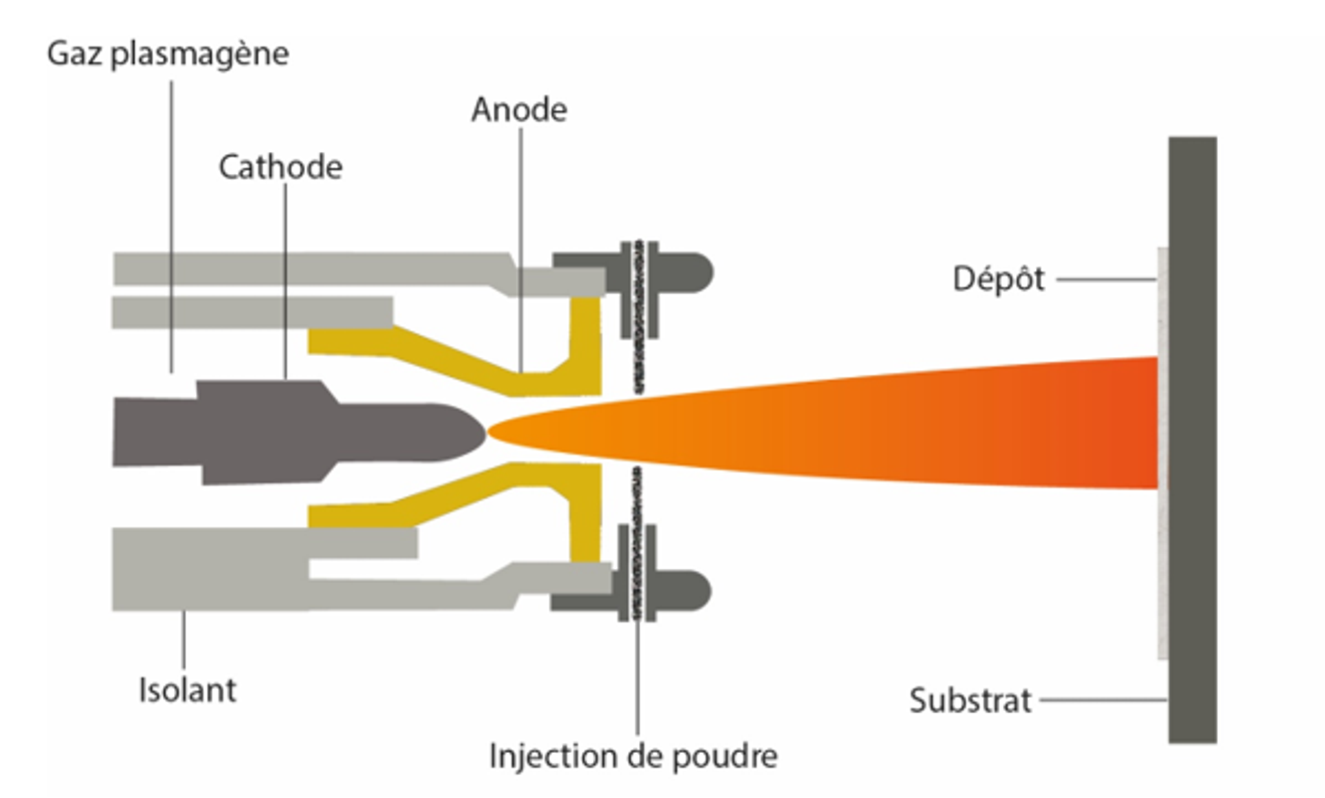 schema-projection-plasma
