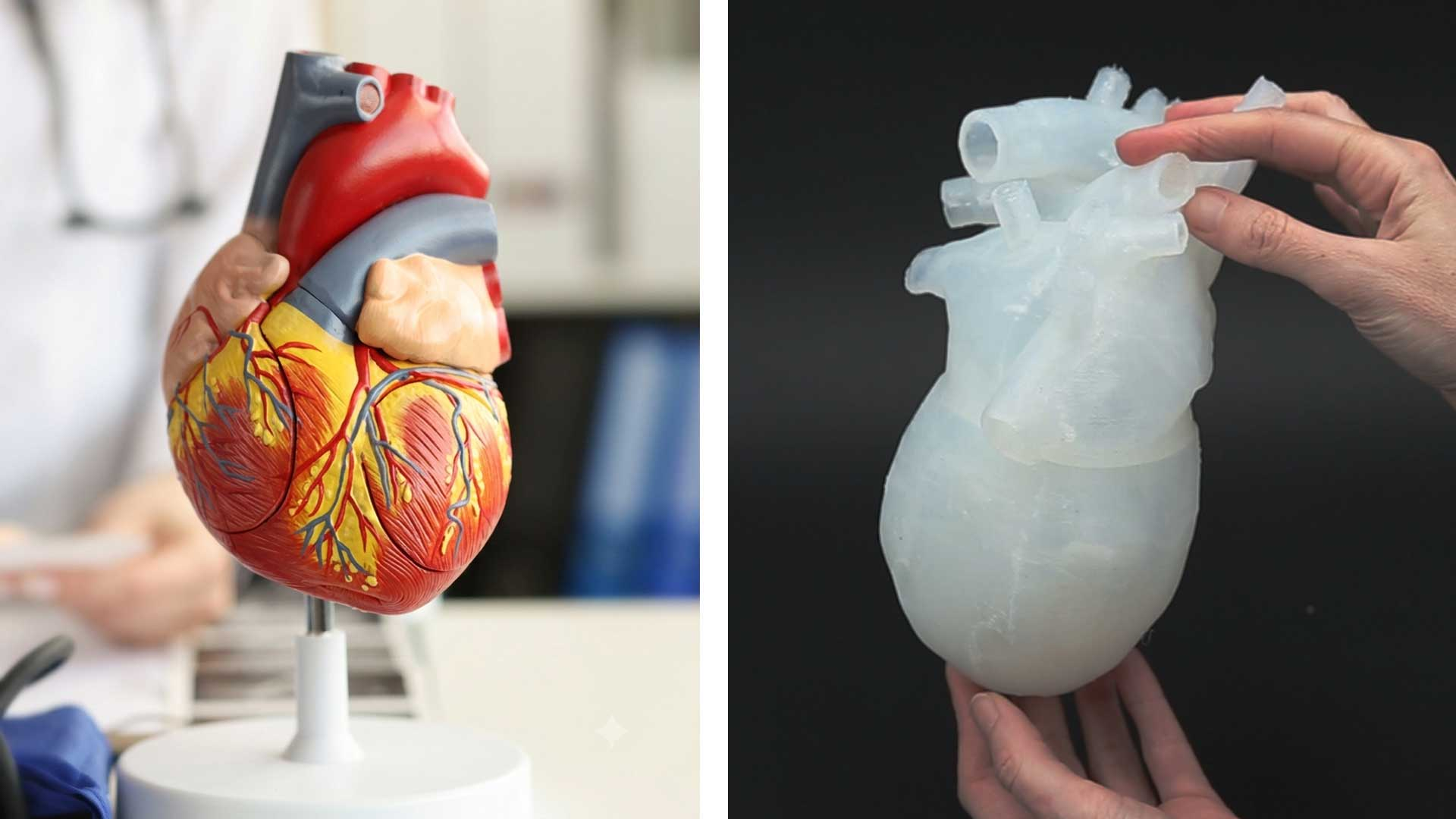 silicone heart