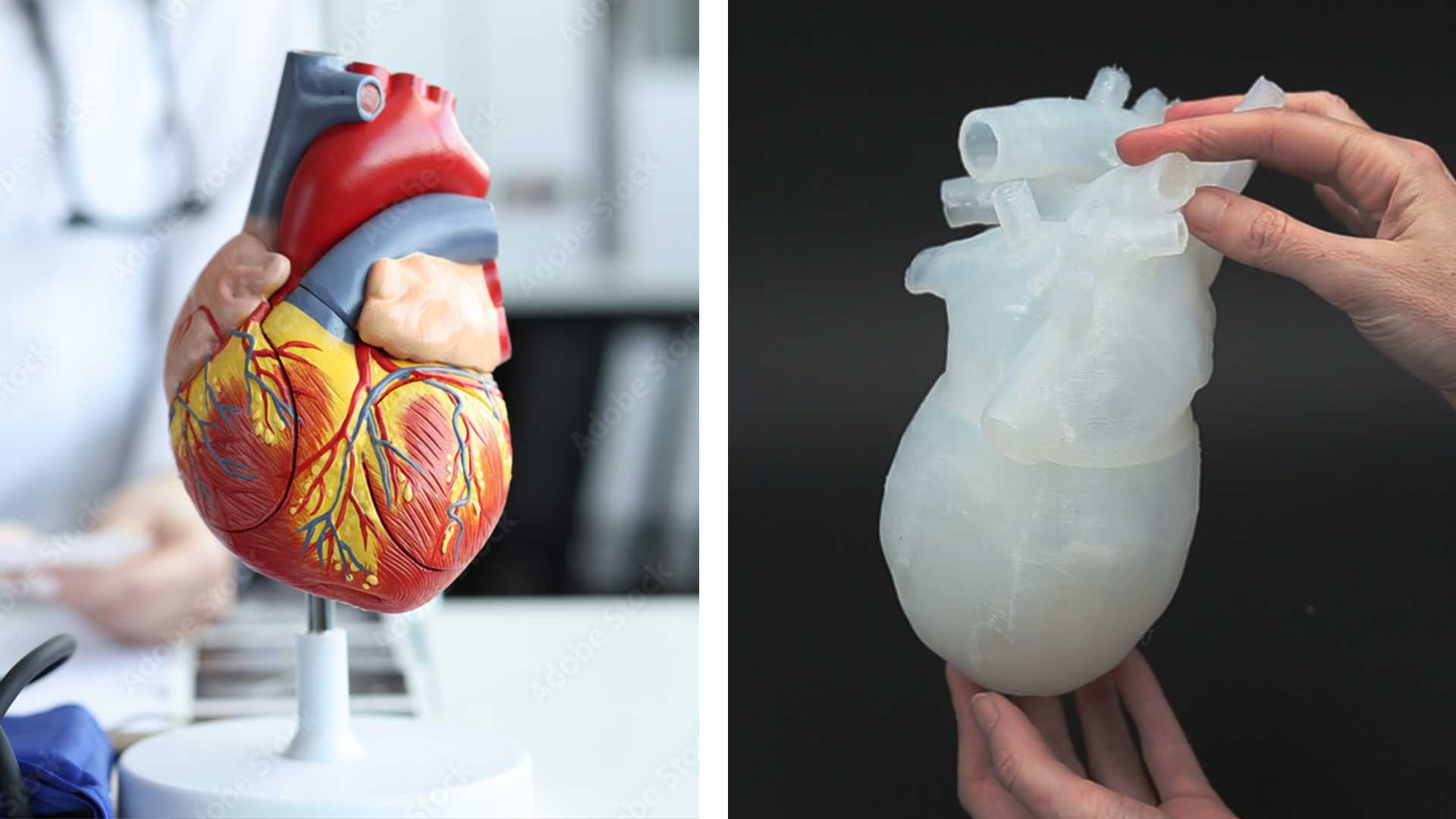 silicone heart
