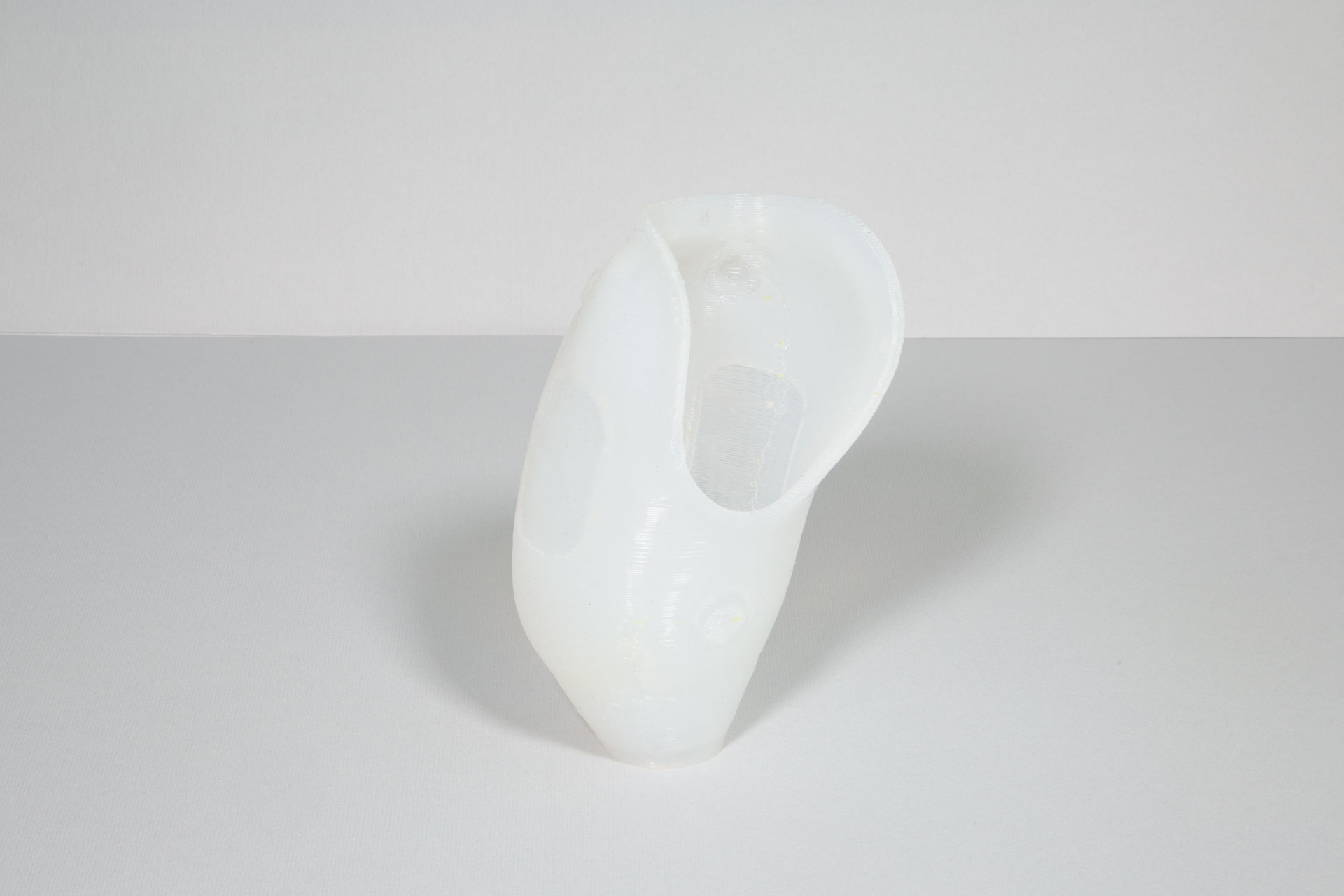 prothesis