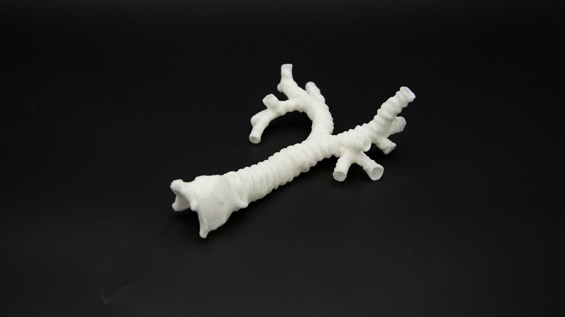 Anatomical models 3D print silicone